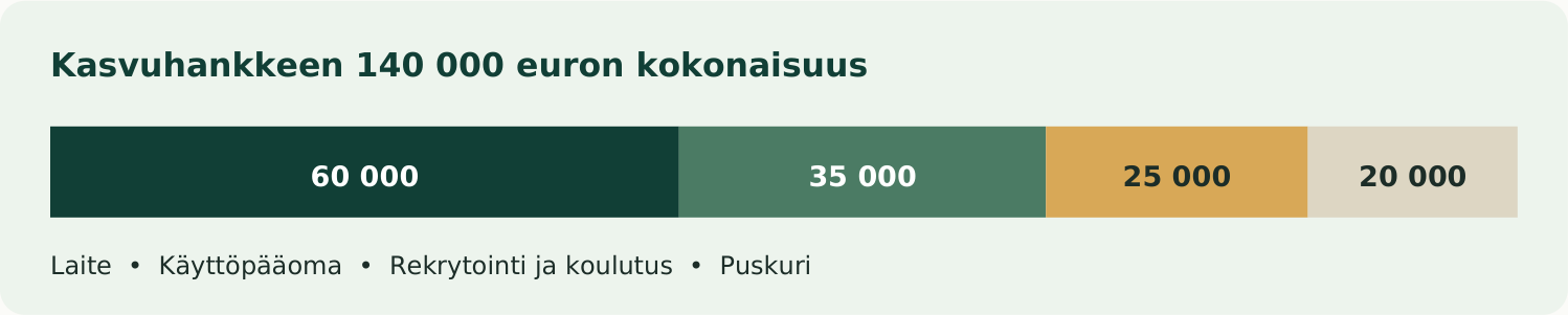 Kasvuhankkeen 140 000 euron kokonaisuus. Laite • Käyttöpääoma • Rekrytointi ja koulutus • Puskuri